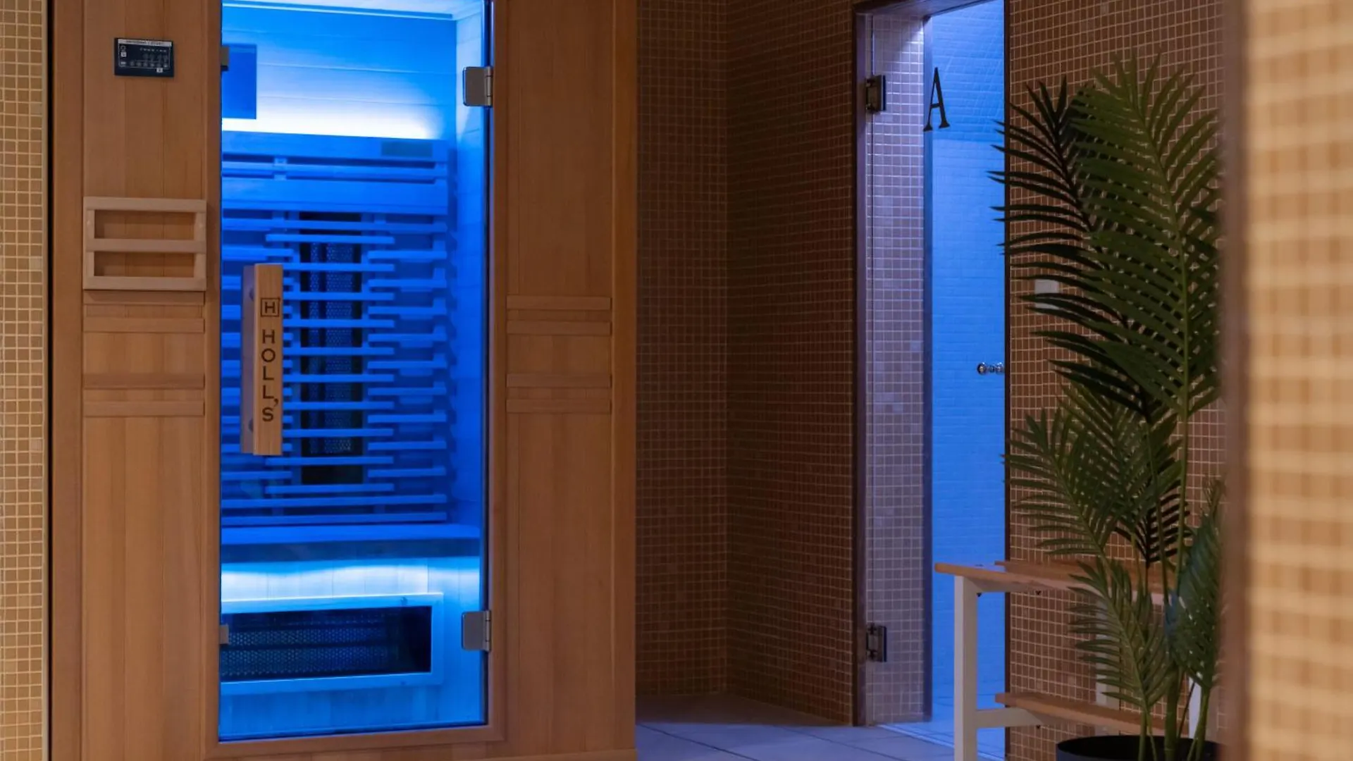 Hotel Araxa - Adults Only Palma