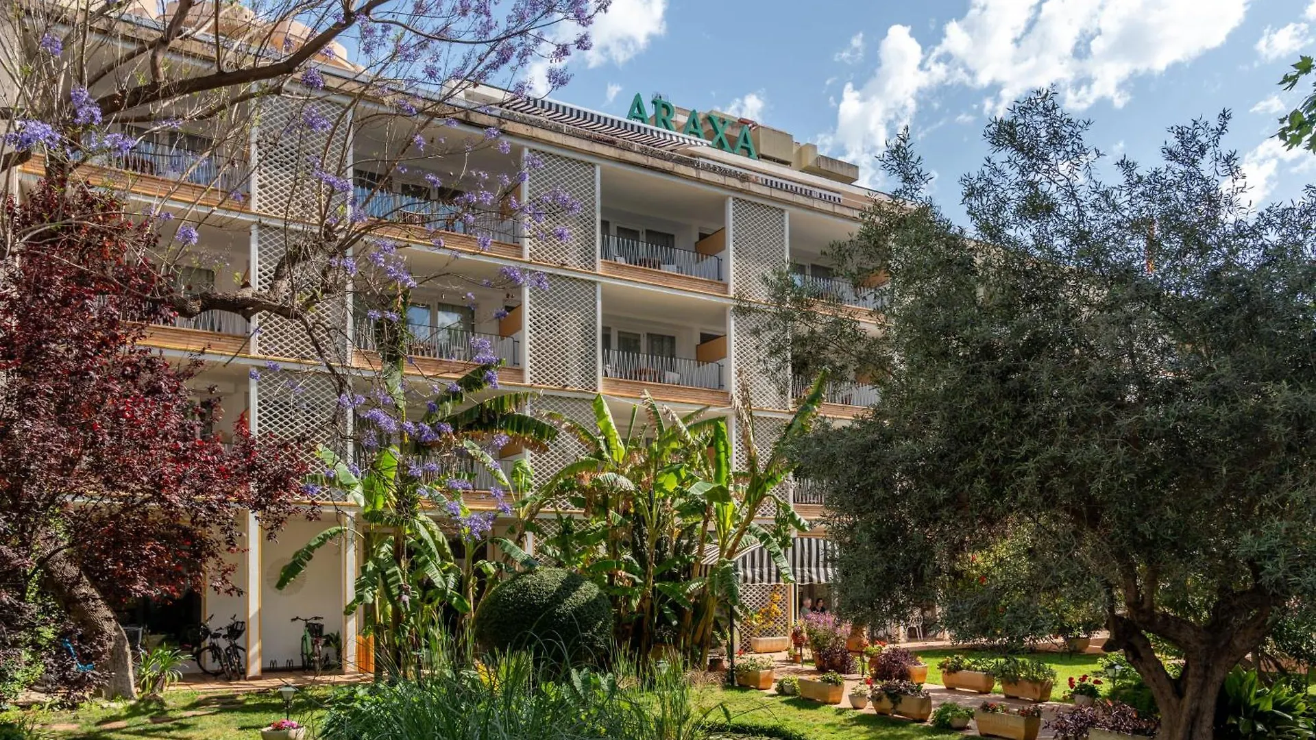 Hotel Araxa - Adults Only Palma