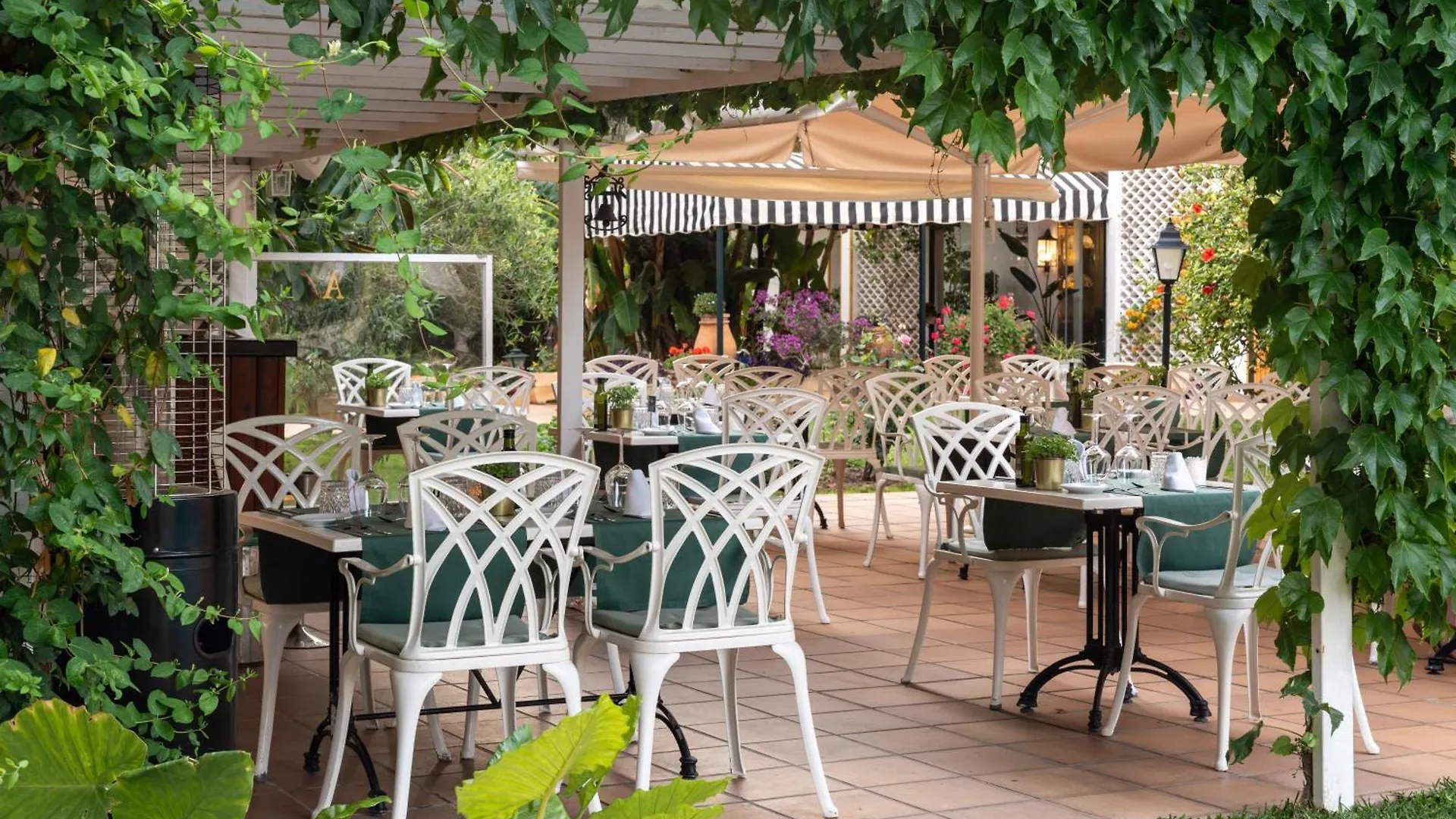 Hotel Araxa - Adults Only Palma de Mallorca