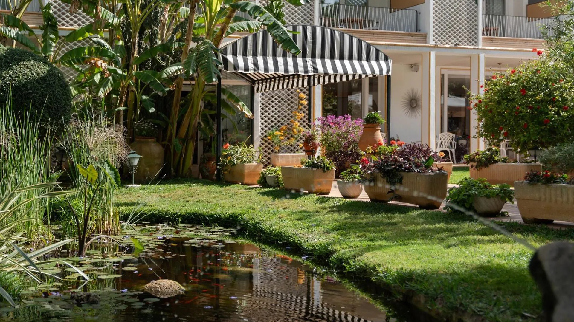 Hotel Araxa - Adults Only Palma Spanien