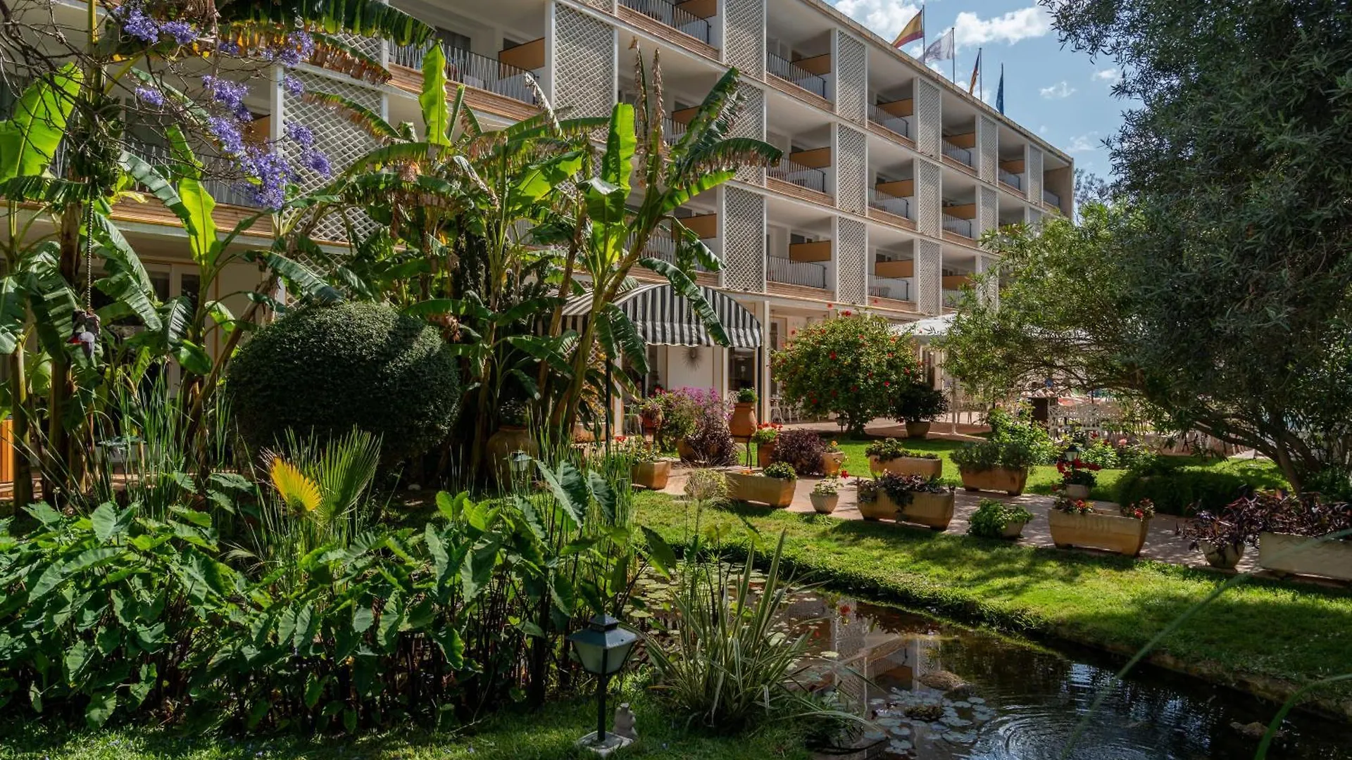 Hotel Araxa - Adults Only Palma